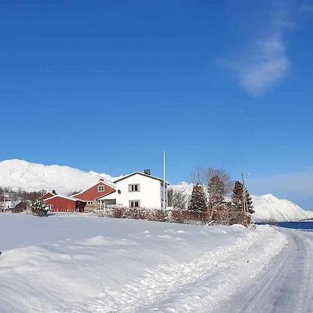 Traditional Farm House Located Close To Fjord Lyngseidet Екстер'єр фото