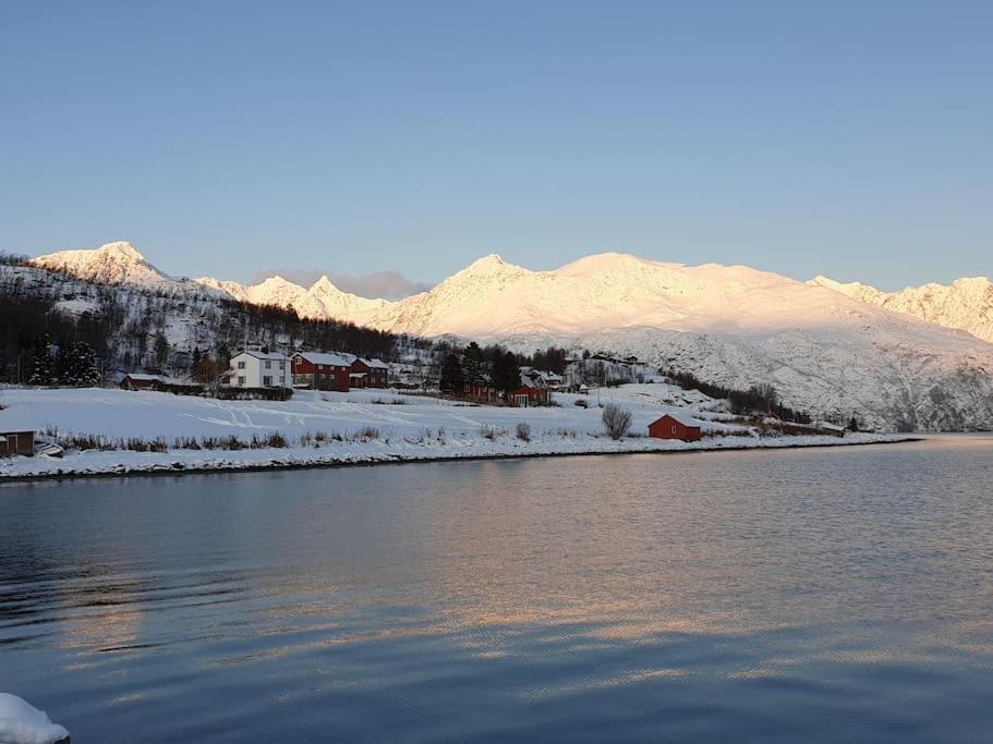 Traditional Farm House Located Close To Fjord Lyngseidet Екстер'єр фото