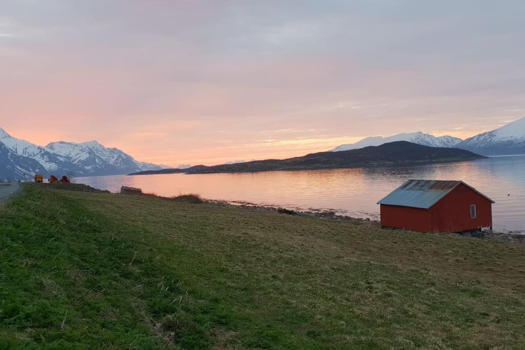 Traditional Farm House Located Close To Fjord Lyngseidet Екстер'єр фото